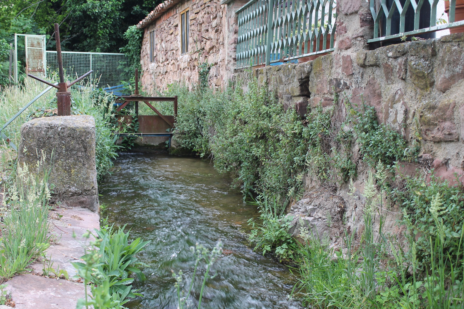 Recorrido del río Aranda